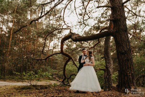 Plener Ślubny Szczecin